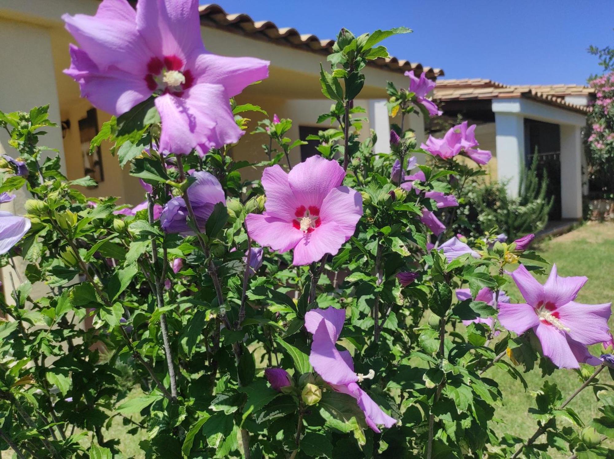 Sa Teria Village Tertenìa