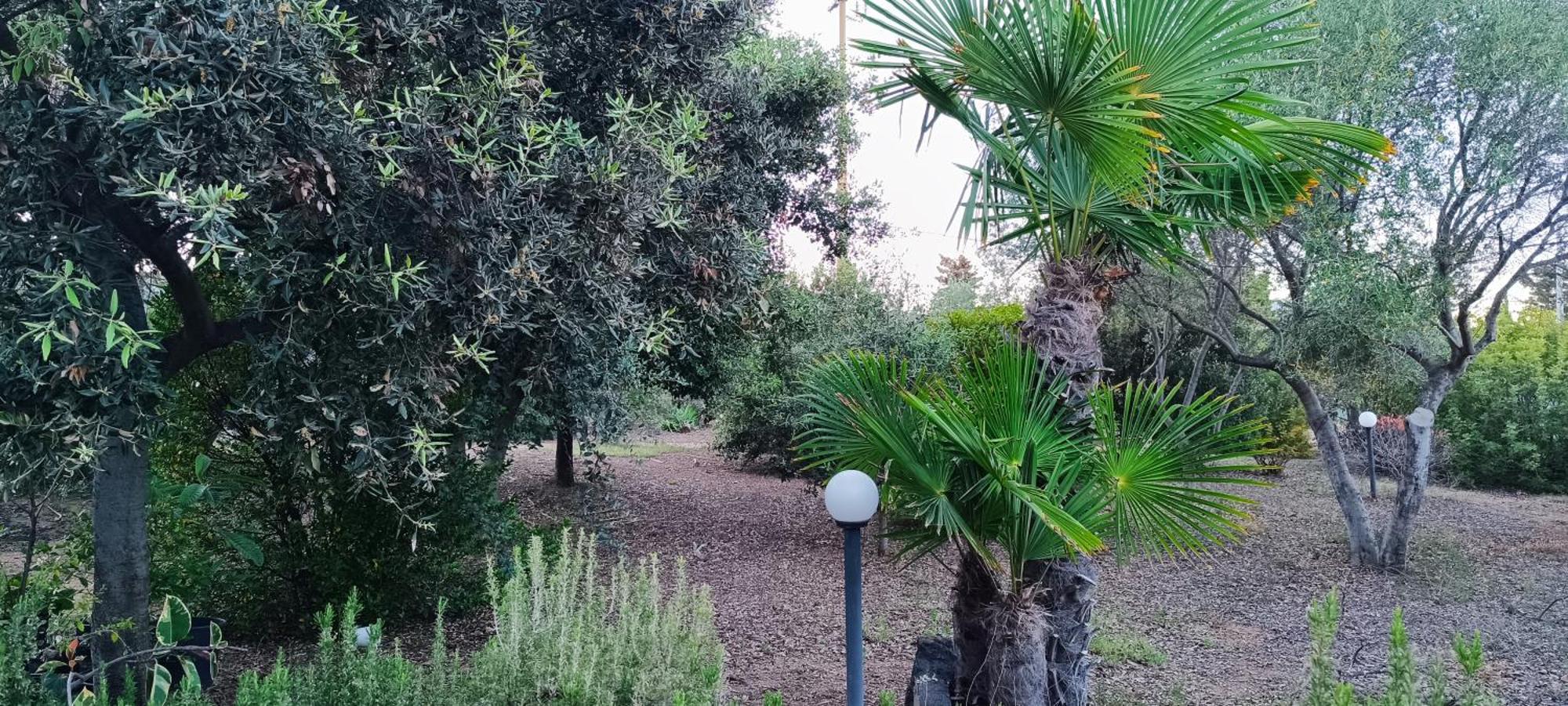 Casa de hóspedes Sa Teria Village Tertenìa