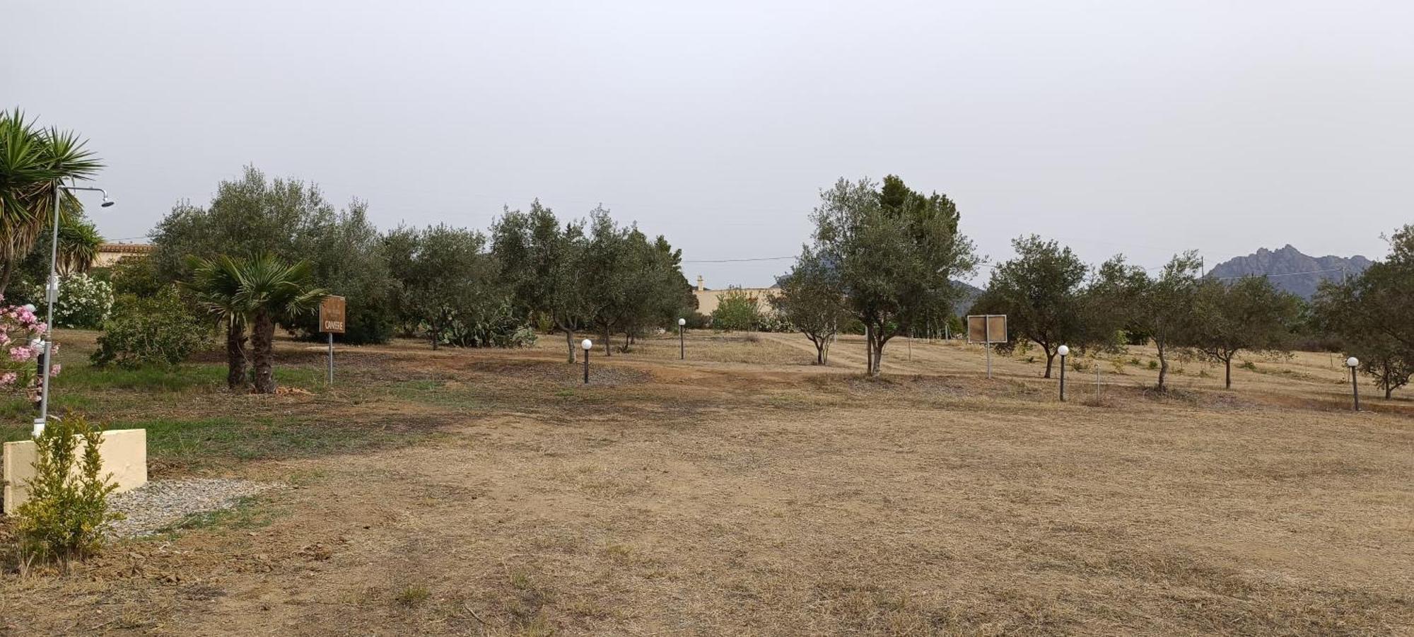 Casa de hóspedes Sa Teria Village
