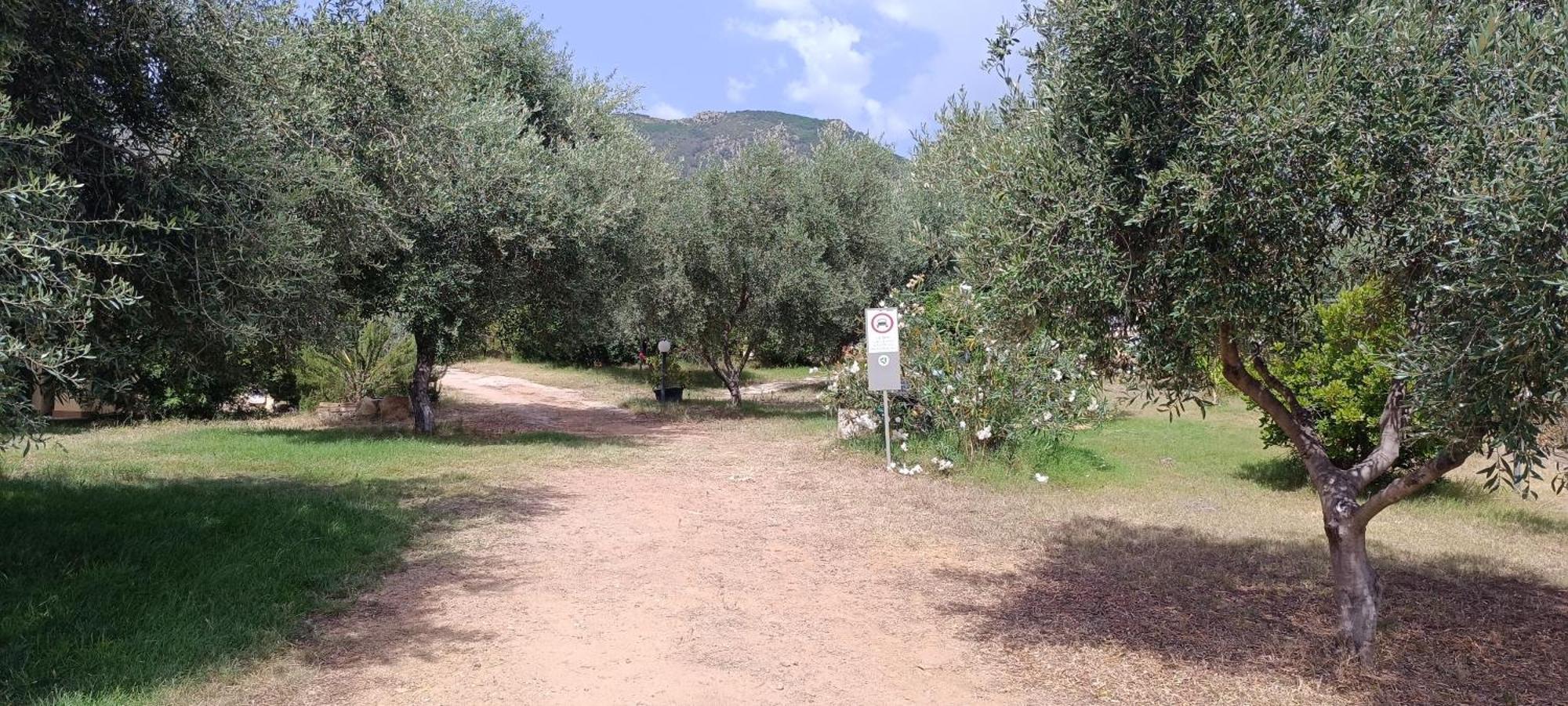 Casa de hóspedes Sa Teria Village Tertenìa